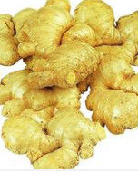 中國生薑交易網