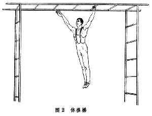 器械體操 器械體操