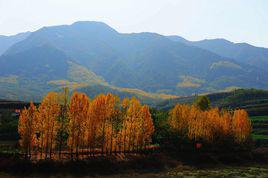 秦嶺北麓 秦嶺北麓