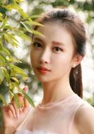 嘉慶君游台灣[2009年黃少祺主演台灣電視劇]