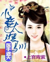 醫手遮天:小妾太難馴 醫手遮天:小妾太難馴