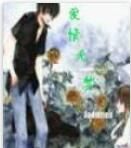 愛情無夢 愛情無夢