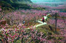 桃花峪[山東泰安景點]