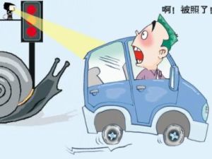 違章拍照 違章拍照