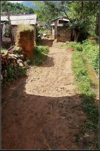 苴力下村 苴力下村