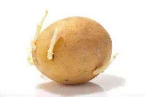 生物鹼中毒 生物鹼中毒