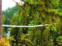 卡皮拉諾吊橋公園 卡皮拉諾吊橋公園