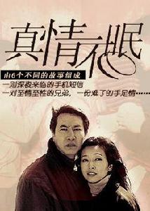 真情不眠 真情不眠