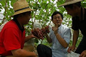 中國科學院水土保持研究所