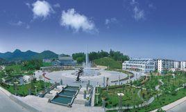 天馬街道 天馬街道