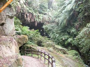 桃園三民蝙蝠洞