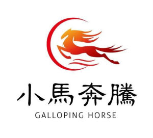 湖南小馬奔騰網路科技有限公司 湖南小馬奔騰網路科技有限公司