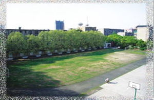 武鋼實驗學校 武鋼實驗學校