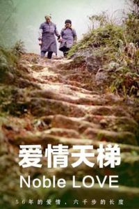 愛情天梯[2011年張詳林執導電影]