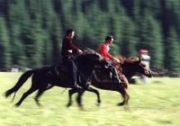 賽馬定理 賽馬定理