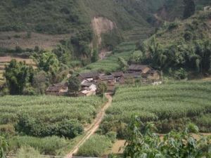 回族自然村 回族自然村