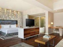 巴厘島TS套房酒店