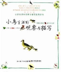 小鳥生活的觀察與描寫 小鳥生活的觀察與描寫
