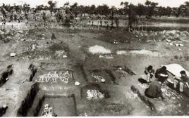 元君廟墓地 元君廟墓地