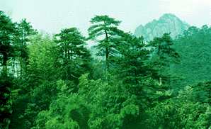 白石砬子 白石砬子