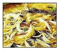 菊花黃魚羹 菊花黃魚羹