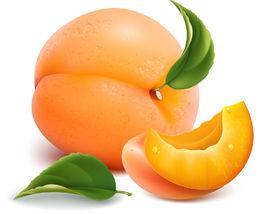 錦花黃桃 錦花黃桃