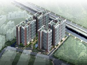 棕櫚四季 棕櫚四季