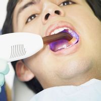 下頜下腺 下頜下腺