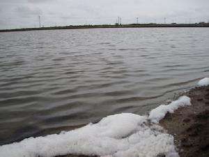 八卦灘遺址 八卦灘遺址