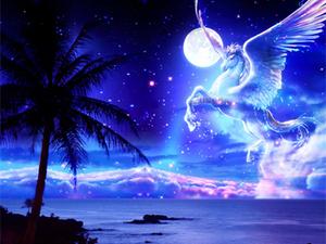 飛馬的星光 飛馬的星光