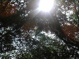 十二點鐘的太陽 十二點鐘的太陽