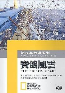 賽鴿風雲 賽鴿風雲