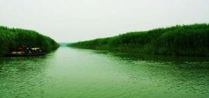 湖南西洞庭湖濕地公園 湖南西洞庭湖濕地公園