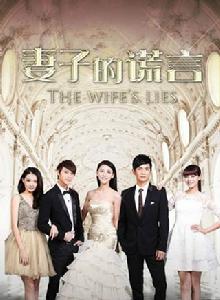 妻子的謊言[賈青、張曉龍主演電視劇]