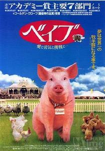 《小豬進城》 《小豬進城》