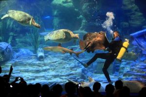 武漢東湖海洋世界