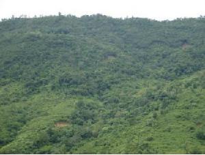 良子自然村[雲南省臨滄雲縣涌寶鎮南糯村下轄自然村]