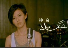 種[孫燕姿演唱歌曲]