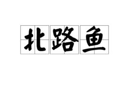 北路魚 北路魚