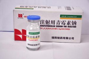 苄青黴素 苄青黴素