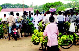 （圖）泰盧固族
