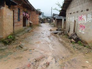 老茶場自然村 老茶場自然村