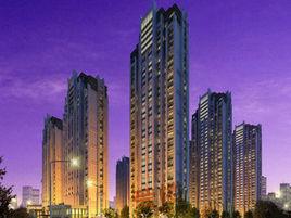 泰禾紅譽 泰禾紅譽