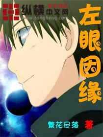 左眼因緣 左眼因緣