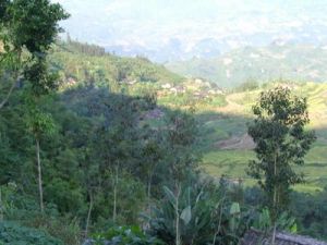 銅塔自然村 銅塔自然村