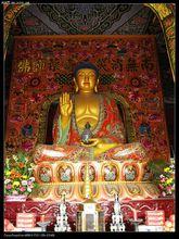 藥師琉璃光王佛