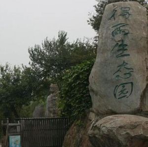 得雨生態園 得雨生態園