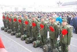 應徵入伍政策 應徵入伍政策