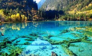 樹正溝風景線 樹正溝風景線