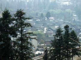 老溫田村 老溫田村